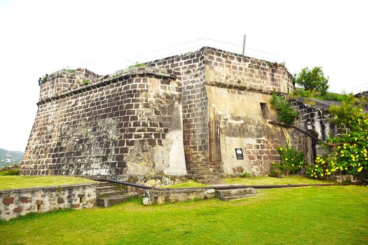 Grenada Herb & Spice Tour — Fort Frederick Views, Bean-to-Bar Chocolate & Annandale Falls photo 5