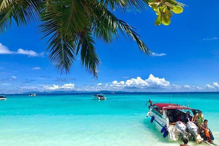 Raya Island Day Trip: Snorkel Racha Yai, Raya Noi & Dolphin Search from Phuket photo 3