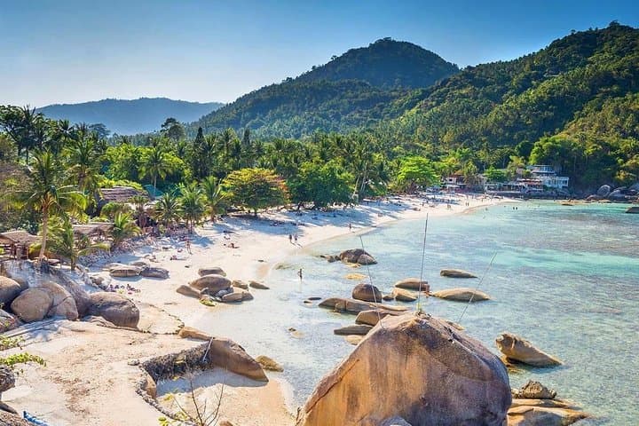 Speedboat Snorkel to Koh Tao & Koh Nangyuan from Ko Samui photo 6