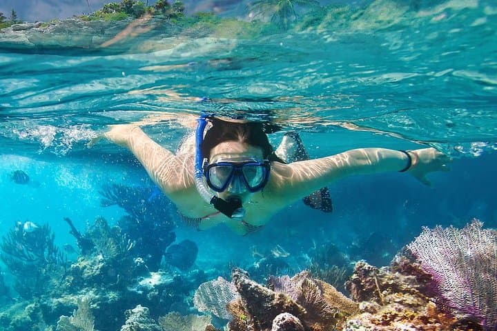 Speedboat Snorkel: Koh Nangyuan & Koh Tao Day Trip from Ko Samui photo 2