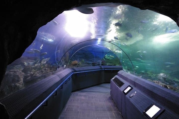 Underwater World Pattaya Skip-the-Line Ticket: 100m Aquarium Tunnel & Touch Pool photo 2