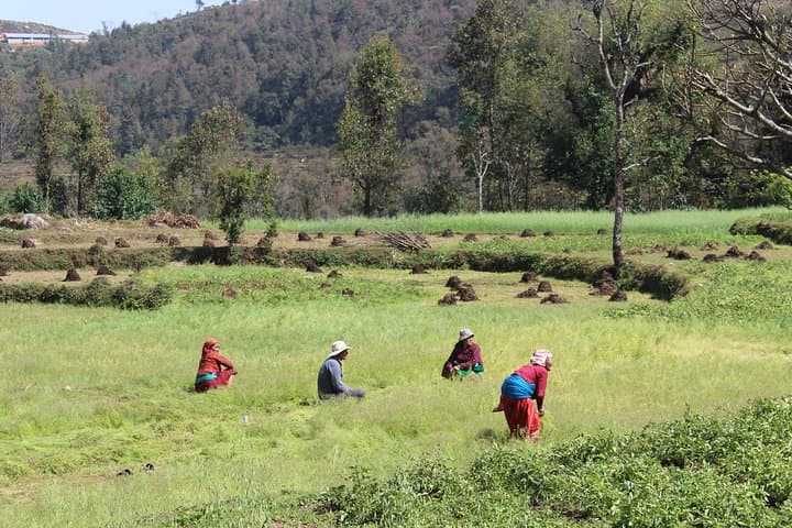 Dhampus Sunrise: 2-Day Jonathan Eco-Trek from Pokhara photo 2