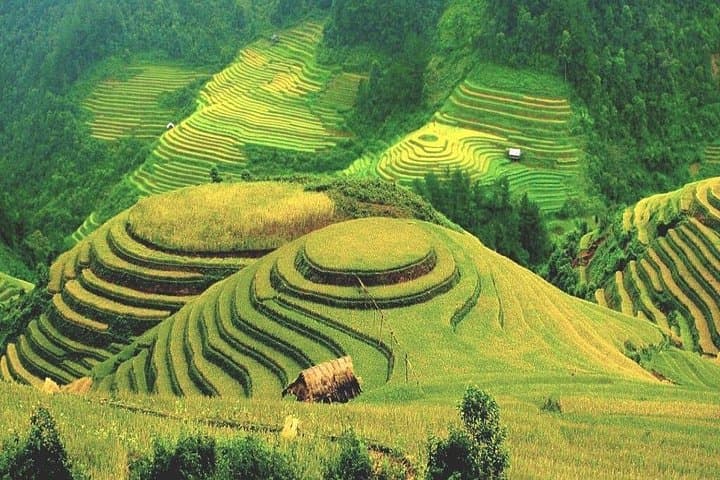 Hanoi to Ha Giang: Luxury 2-Day Dong Van Karst Plateau Escape photo 2
