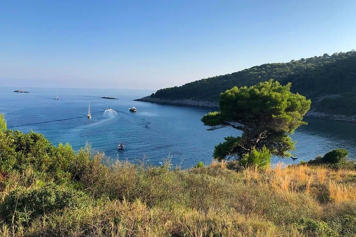Dubrovnik Elaphiti Islands Walking Break: Sipan, Kolocep & Lopud in 4 Days photo 5