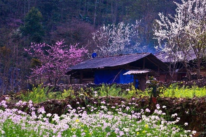 Ha Giang Highlands: 3-Day Private Tour from Hanoi to Dong Van & Ma Pi Leng photo 1