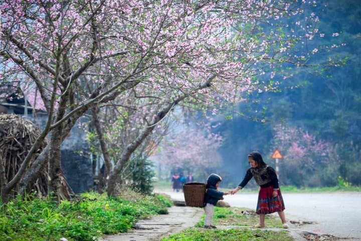 Ha Giang Highlands: 3-Day Private Tour from Hanoi to Dong Van & Ma Pi Leng photo 4