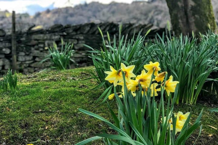 Lake District Adventure from Chester: Full-Day Sightseeing to Windermere, Blea Tarn & Grasmere photo 6