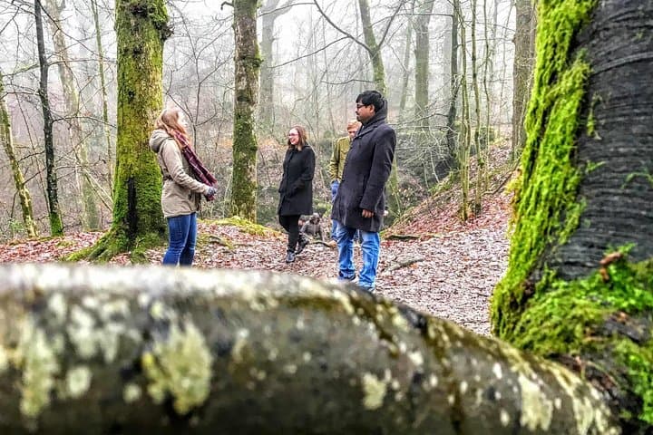 Full-Day Lake District Adventure from Liverpool: Windermere, Blea Tarn and Grasmere photo 4