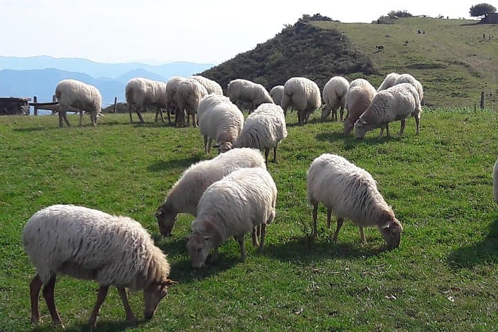 Private French Basque Countryside Tour: Hidden Pyrenees Villages & Local Producers photo 2
