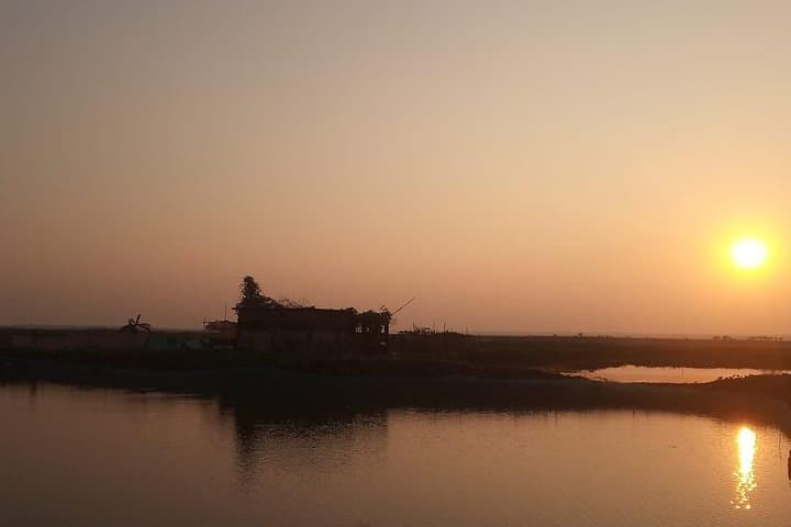 Sreemangal Full-Day Tea Garden & Wetland Tour — Seven Layer Tea, Lawachara & Birdwatching