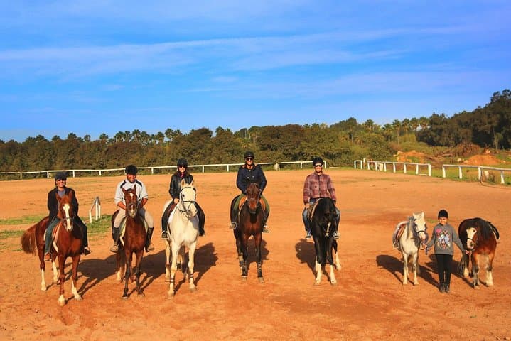 Palm Grove Horse Ride Near Marrakech: 1-Hour Guided Trail photo 3