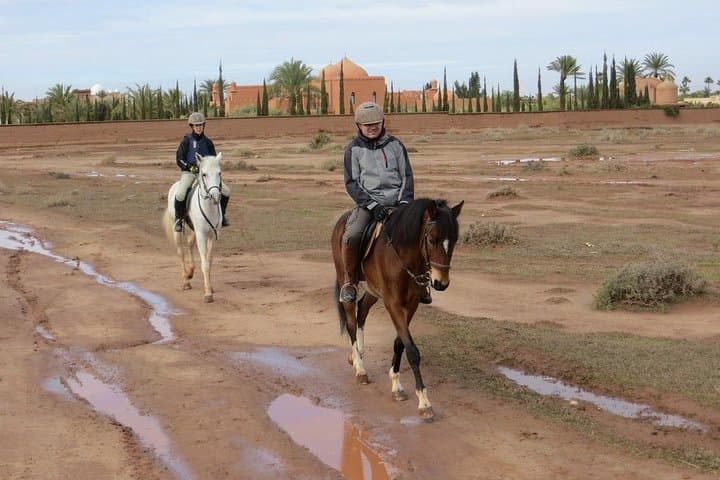Palm Grove Horse Ride Near Marrakech: 1-Hour Guided Trail photo 4