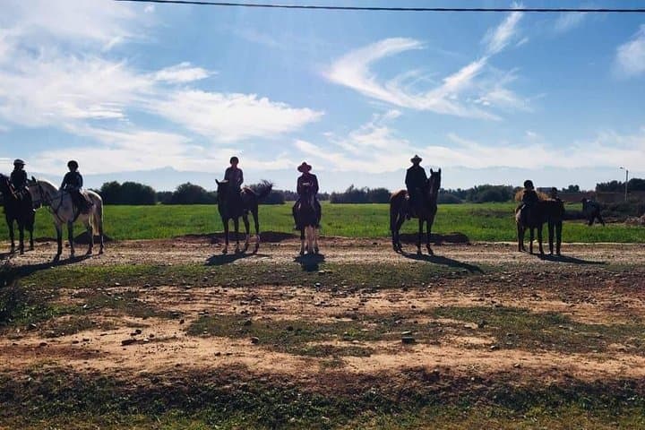 Palm Grove Horse Ride Near Marrakech: 1-Hour Guided Trail photo 5