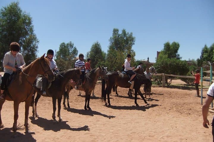Palm Grove Horse Ride Near Marrakech: 1-Hour Guided Trail photo 6