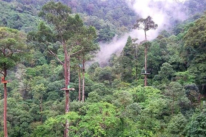 Skyhawk Zipline Koh Samui: 10 Cables, 2km Jungle-to-Sea Flight photo 6
