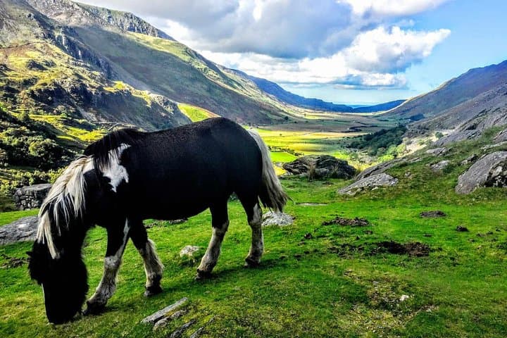 North Wales in a Day: Llandudno, Conwy, Snowdonia and the Pontcysyllte Aqueduct from Manchester