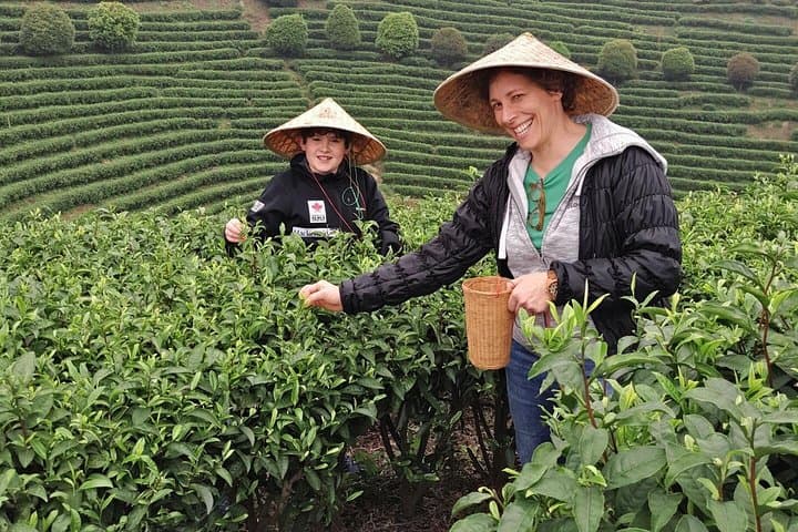 Half-Day Guilin City Tour: Elephant Hill Park & Yao Mountain Tea Plantation photo 1