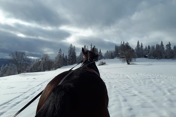 Horse Sleigh Ride and Thermal Pools Day Trip from Krakow photo 5