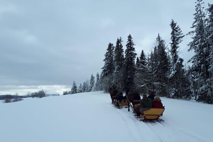 Horse Sleigh Ride and Thermal Pools Day Trip from Krakow photo 6