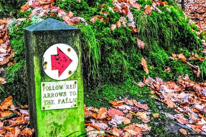 Lake District Adventure Day Trip from Manchester — Windermere, Blea Tarn & Grasmere photo 5