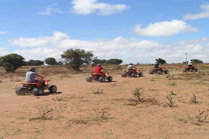 Quad Biking Around Agadir: Argan Forests, Sand Dunes & Berber Breakfast photo 6