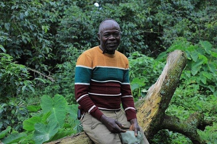 Seven-Day Coffee Origin Tour: Jimma, Keffa, Yirga Cheffe & Bebeka Estate photo 4