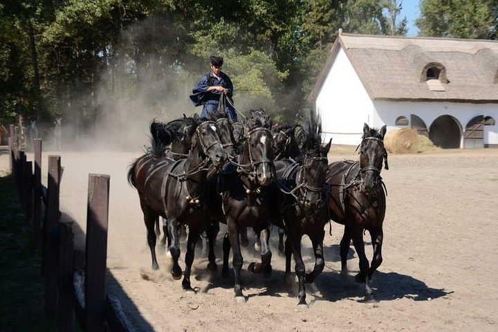 Puszta Horse Show Private Tour from Budapest — Hortobágy Carriage Ride & Lunch