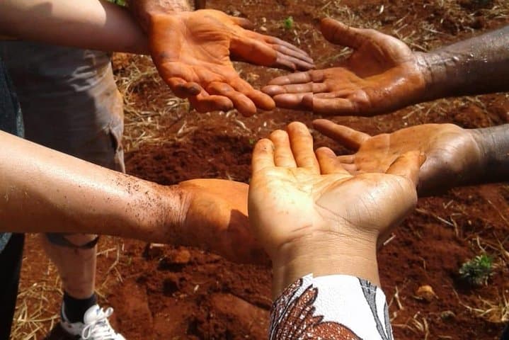 Hands-On Jamaican Farm Tour — Pick Pineapple & Learn Tropical Gardening photo 6