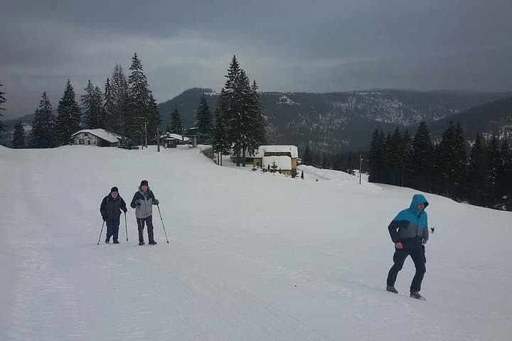 Full-Day Snowshoeing the Olympic Mountains from Sarajevo photo 3