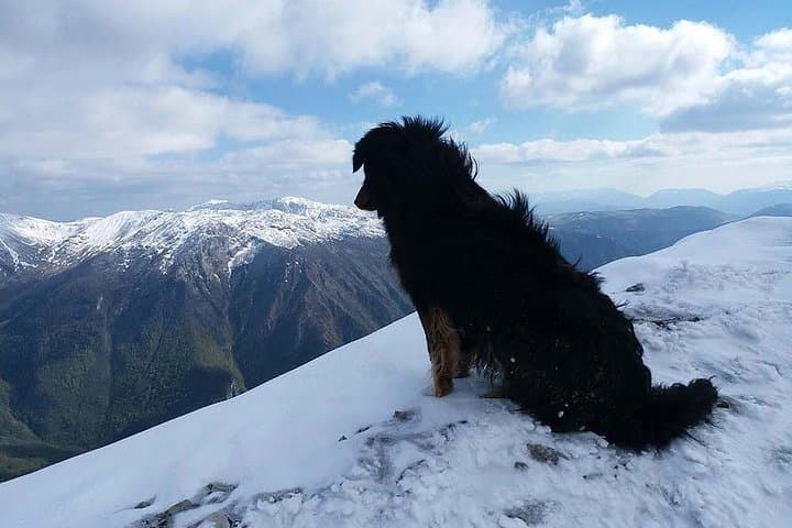 Full-Day Snowshoeing the Olympic Mountains from Sarajevo