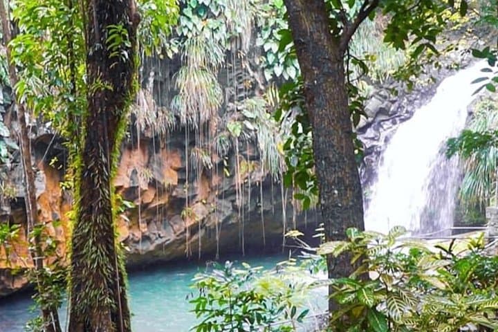 Grenada Island Bites & Sights: Food, Falls and Grand Etang Escape photo 6