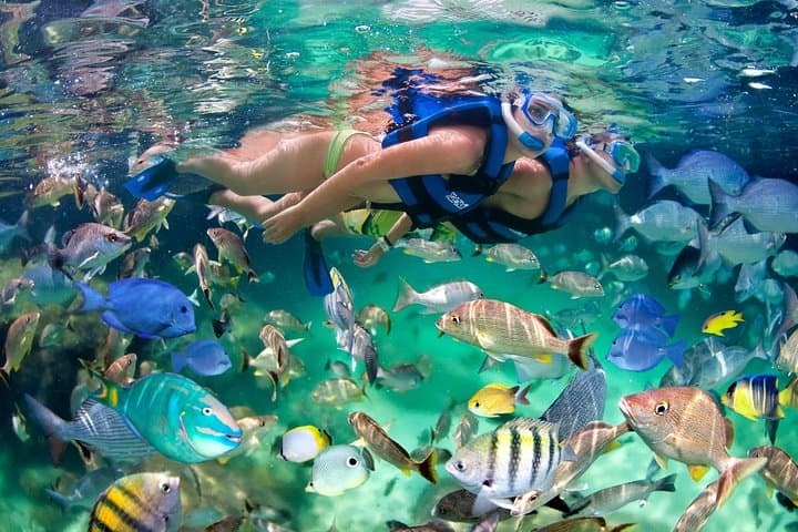 Private Catamaran Snorkeling Adventure in Punta Cana — Natural Pool & Open Bar photo 5