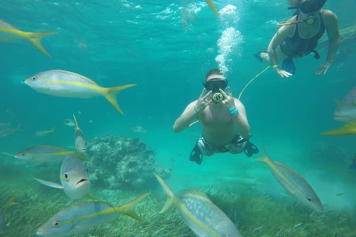Punta Cana Catamaran Party Cruise with Hooka Diving & Snorkeling photo 3