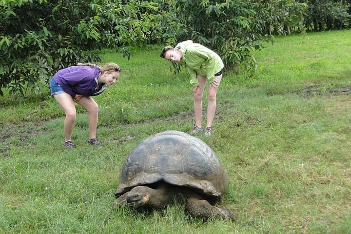 5-Day Galapagos Island Hopping Classic: Islands, Sharks and Giant Tortoises photo 6