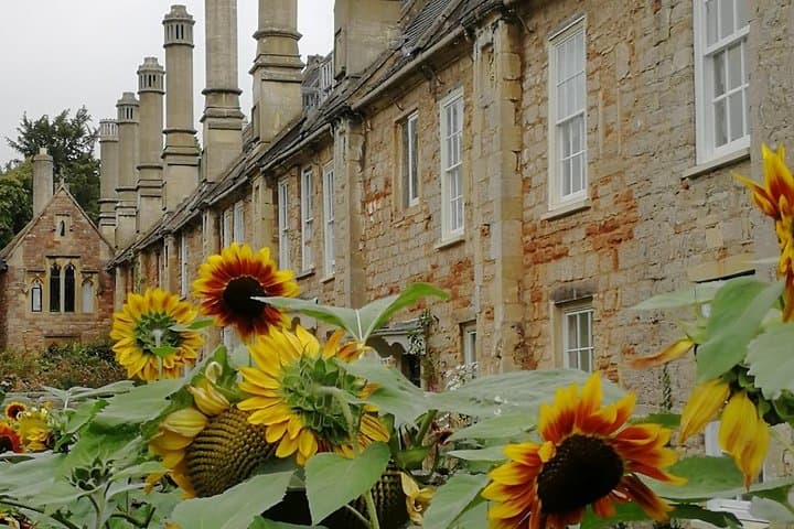Wells, Cheddar Cheese & Cheddar Gorge: Private Day Trip from Bath photo 5