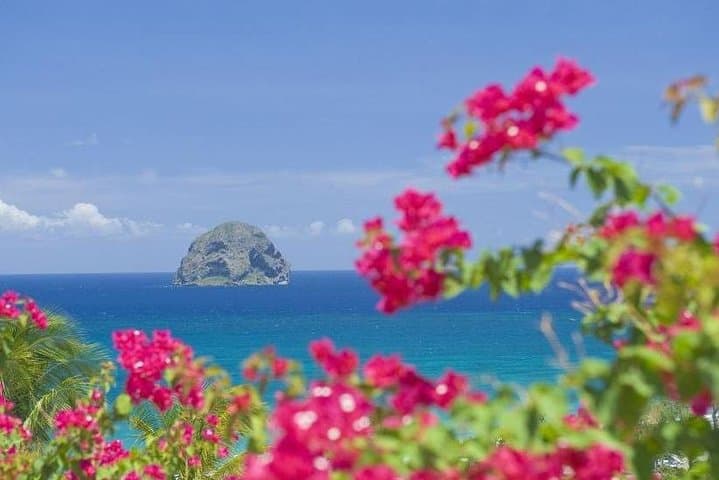 Martinique South West Rum Tasting & Beach Tour — Diamant, 3 Rivières & Grande Anse d'Arlet photo 2