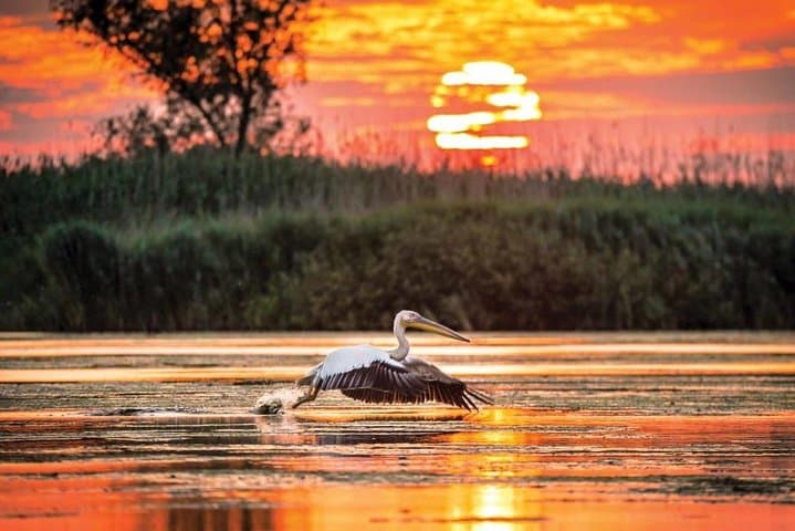 Danube Delta Private Tour from Bucharest: 2-Day Letea & Sulina Wildlife Cruise photo 2