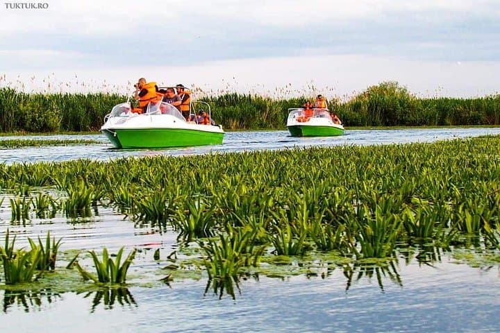 Danube Delta Private Tour from Bucharest: 2-Day Letea & Sulina Wildlife Cruise photo 3