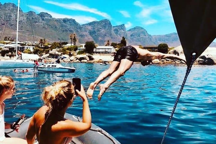 Cape Town Boat Trip — Table Mountain & Marine Wildlife from the V&A Waterfront