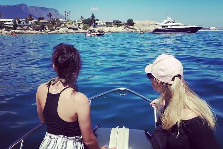 Cape Town Boat Trip — Table Mountain & Marine Wildlife from the V&A Waterfront photo 4