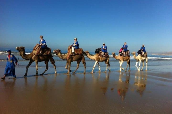 Camel Riding in Agadir: 2-Hour Souss River & Ranch Experience photo 3
