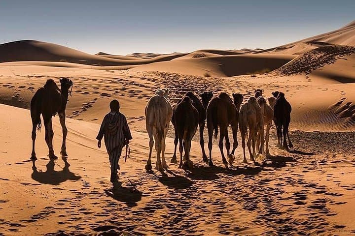 3-Day Merzouga Desert Tour from Ouarzazate — Dunes, Kasbahs & Berber Camp photo 2