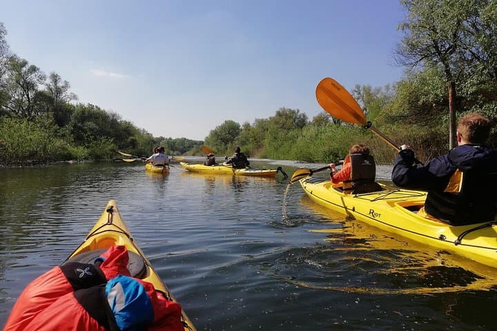 Paddle Great War Island: Kayak Tour on Belgrade's Danube & Sava photo 2