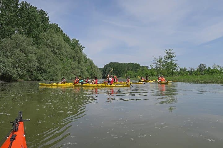 Paddle Great War Island: Kayak Tour on Belgrade's Danube & Sava photo 5