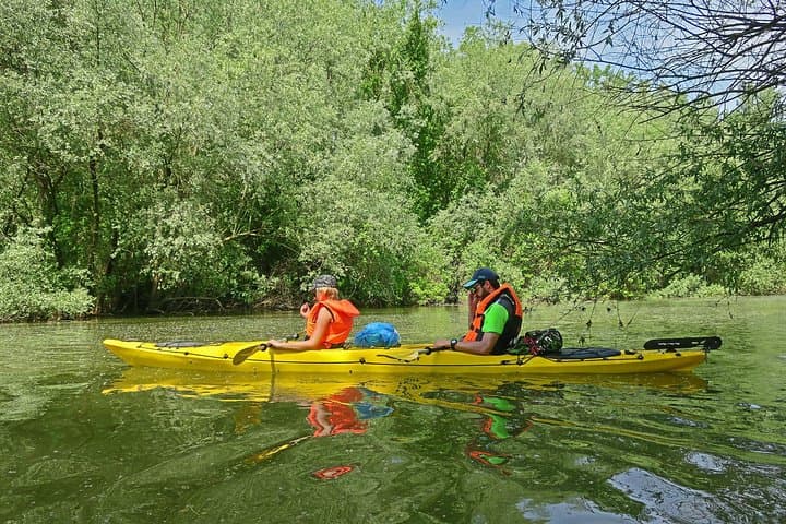 Paddle Great War Island: Kayak Tour on Belgrade's Danube & Sava