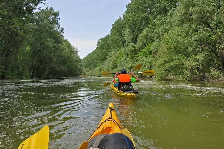 Paddle Great War Island: Kayak Tour on Belgrade's Danube & Sava photo 6