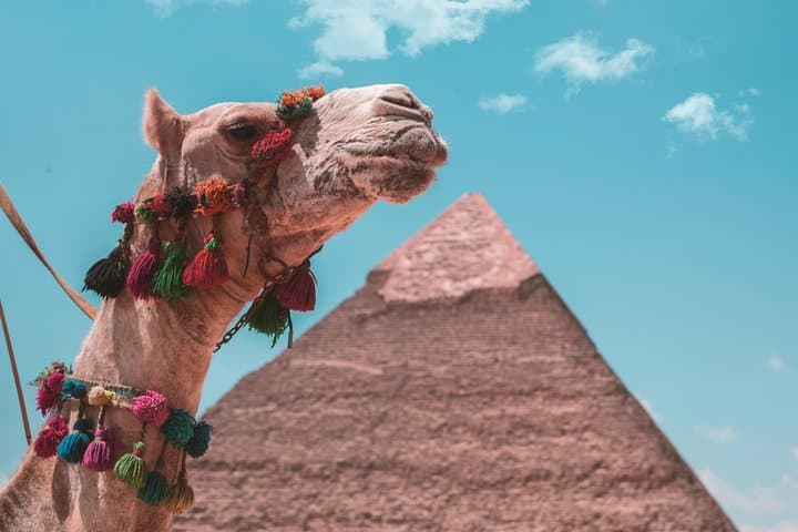 Sunset Camel Ride at Giza Pyramids — Evening Safari Near Cairo photo 4