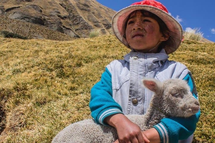 2-Day Inca Trail to Machu Picchu: Sun Gate Hike from Km 104 photo 3