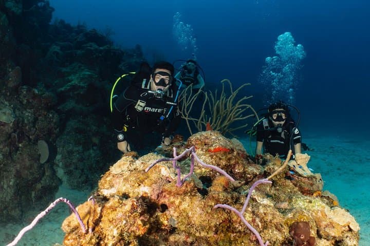 Discover Culebra: 2-Tank Scuba Diving from Fajardo — PADI Intro Dive photo 4