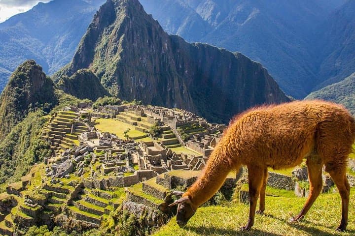 Machu Picchu in One Day from Cusco: How to Plan the Perfect Day Trip photo 6